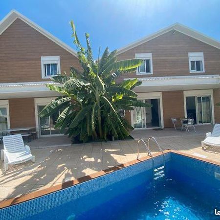 Villa Soleil Étang-Salé les Bains エクステリア 写真